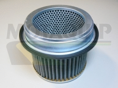 Air Filter (VFA607)