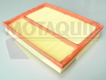 Air Filter (VFA778)
