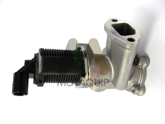EGR Valve (LVER279)