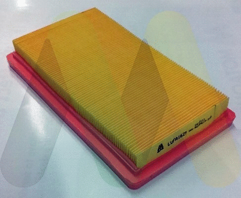 Air Filter (LVFA1629)