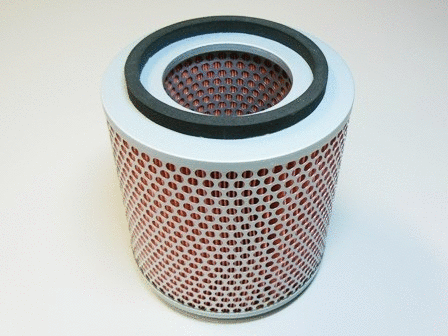 Air Filter (VFA955)