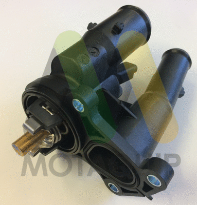 Thermostat, coolant (LVTK196)