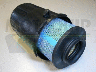 Air Filter (VFA779)