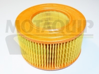 Air Filter (VFA222)