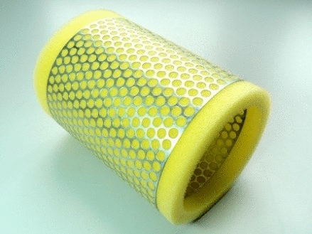 Air Filter (VFA142)