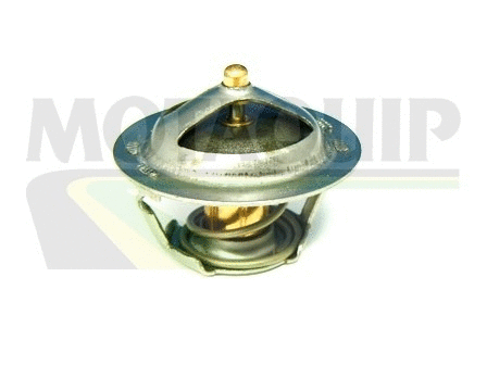 Thermostat, coolant (VTS256)