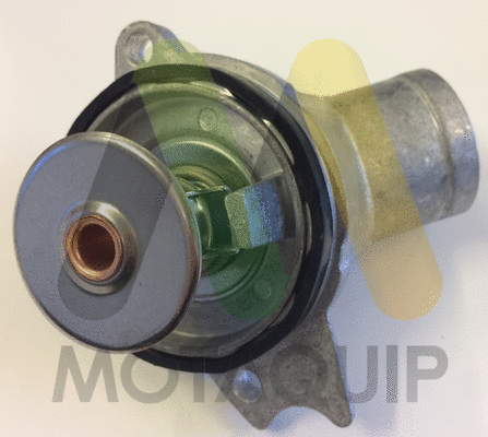 Thermostat, coolant (LVTK219)