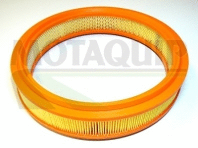 Air Filter (VFA590)