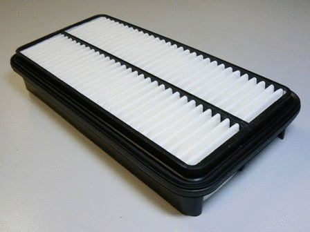 Air Filter (VFA951)