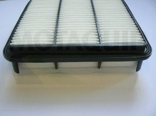 Air Filter (VFA1190)