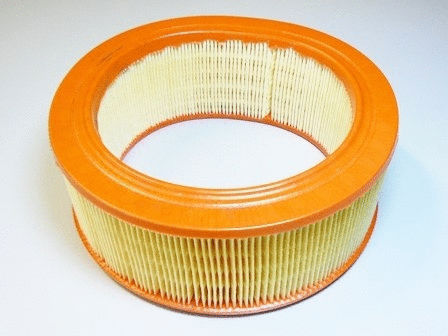 Air Filter (VFA313)