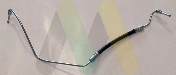 Brake Hose (LVBH1665)