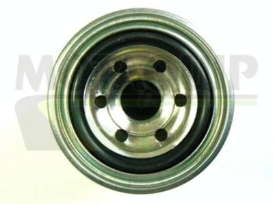 Fuel Filter (VFF168)