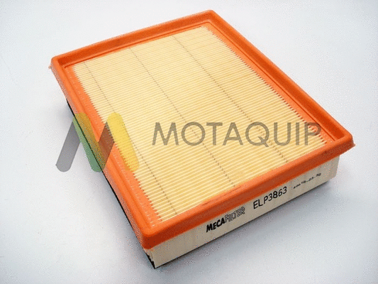 Air Filter (LVFA1438)