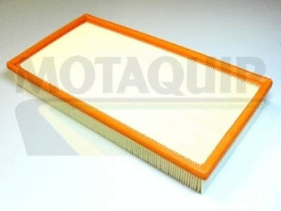 Air Filter (VFA817)