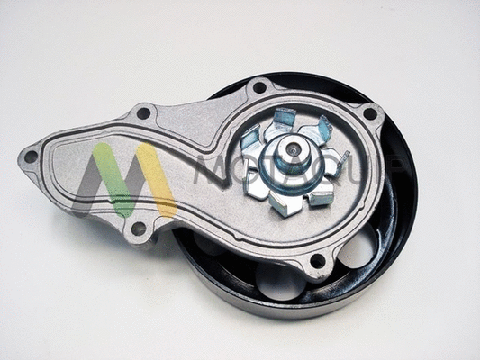 Water Pump, engine cooling (LVWP973)