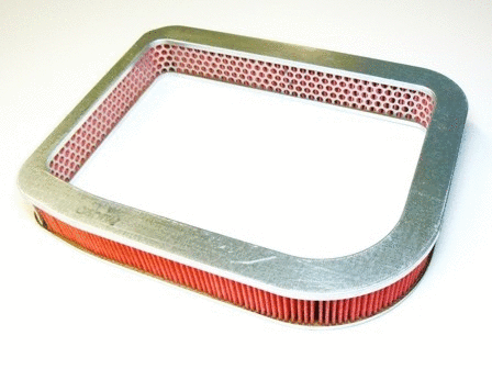 Air Filter (VFA485)