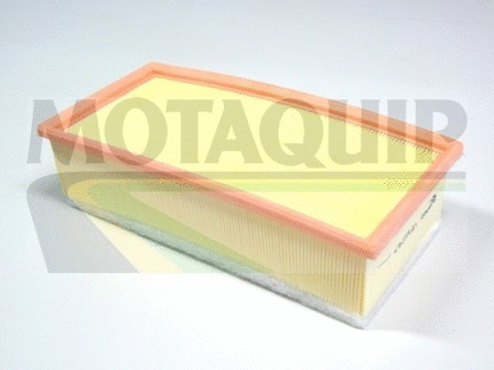 Air Filter (VFA1147)