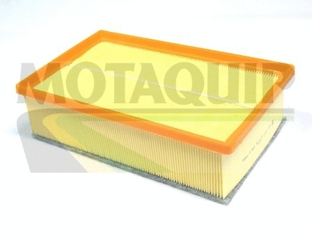 Air Filter (VFA1162)