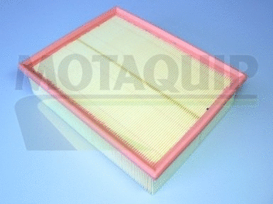 Air Filter (VFA1030)