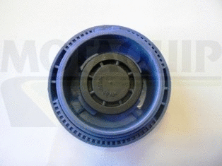 Cap, coolant tank (VCR240)