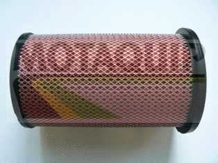 Air Filter (VFA1198)