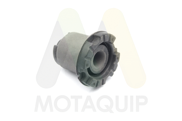 Bushing, axle beam (LVSK1238)