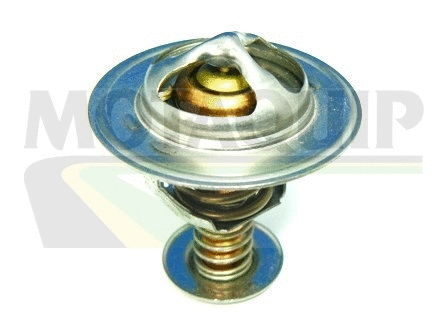 Thermostat, coolant (VTS245)