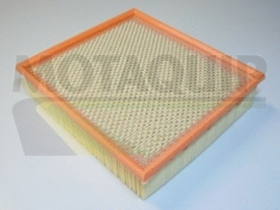 Air Filter (VFA771)