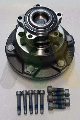 Wheel Bearing Kit (LVBK1756)