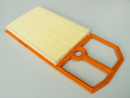 Air Filter (VFA925)