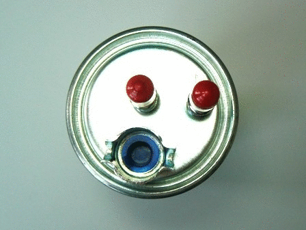 Fuel Filter (VFF434)