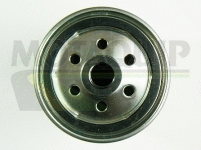 Fuel Filter (VFF487)