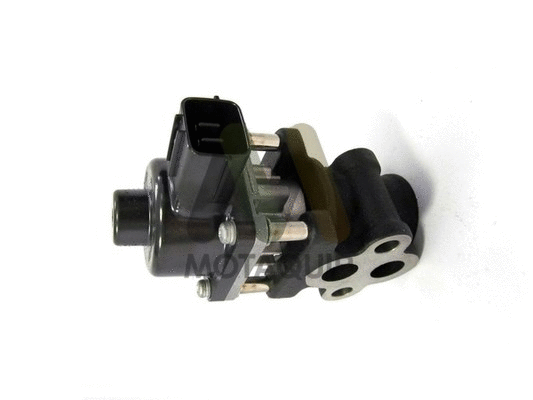 EGR Valve (LVER294)