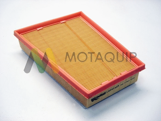 Air Filter (LVFA1423)