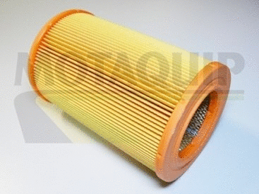 Air Filter (VFA611)
