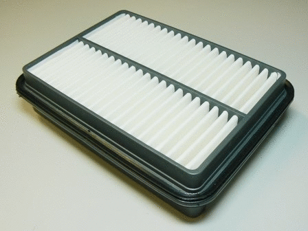 Air Filter (VFA541)