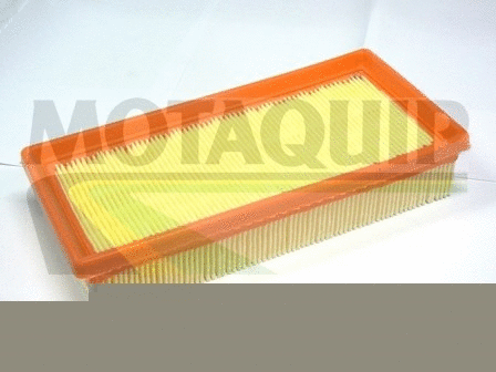 Air Filter (VFA1189)