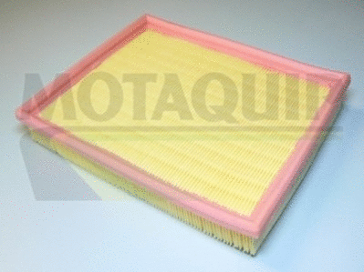Air Filter (VFA201)