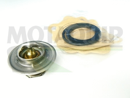 Thermostat, coolant (VTK2)