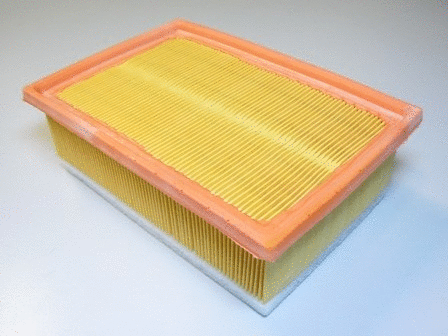 Air Filter (VFA1074)