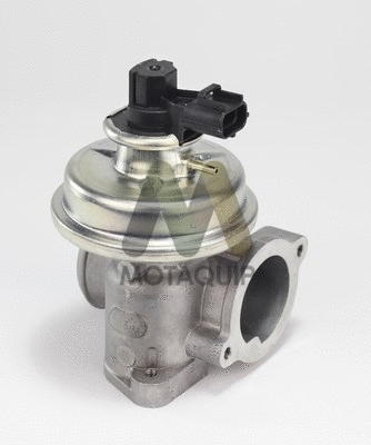 EGR Valve (LVER349)