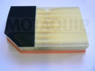 Air Filter (VFA1207)