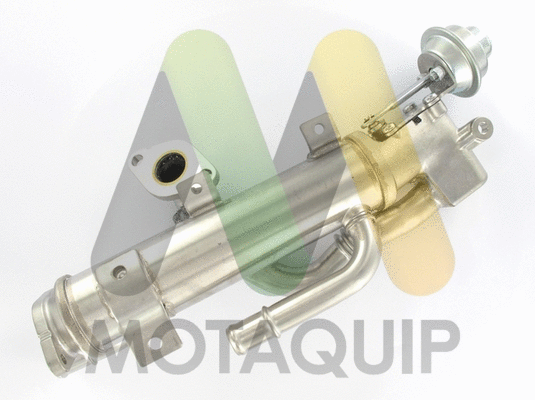 Cooler, exhaust gas recirculation (LVER371)