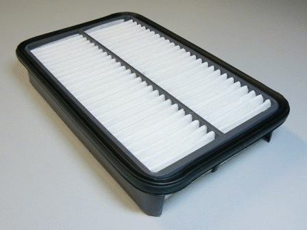 Air Filter (VFA865)