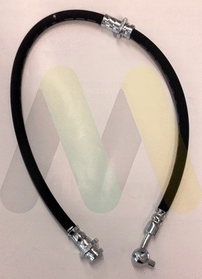 Brake Hose (LVBH1672)
