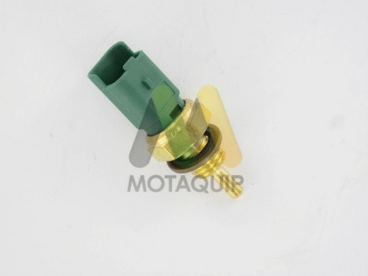 Sensor, coolant temperature (VCT119)