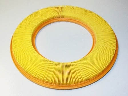 Air Filter (VFA395)