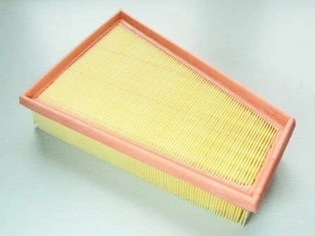 Air Filter (VFA933)