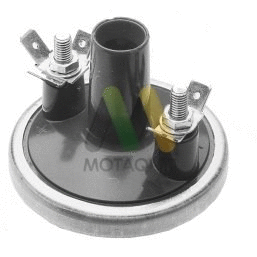 Ignition Coil (LVCL409)
